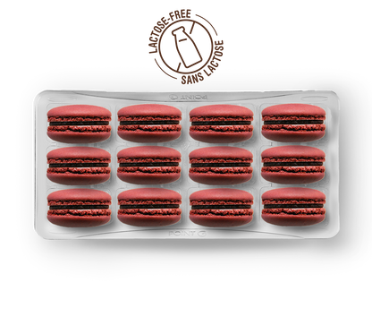 Boîte de 12 macarons identiques