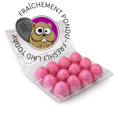 Beaver eggs